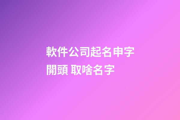 軟件公司起名申字開頭 取啥名字-第1張-公司起名-玄機派